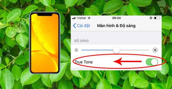 Tắt bỏ Truetone nếu chưa quen mắt