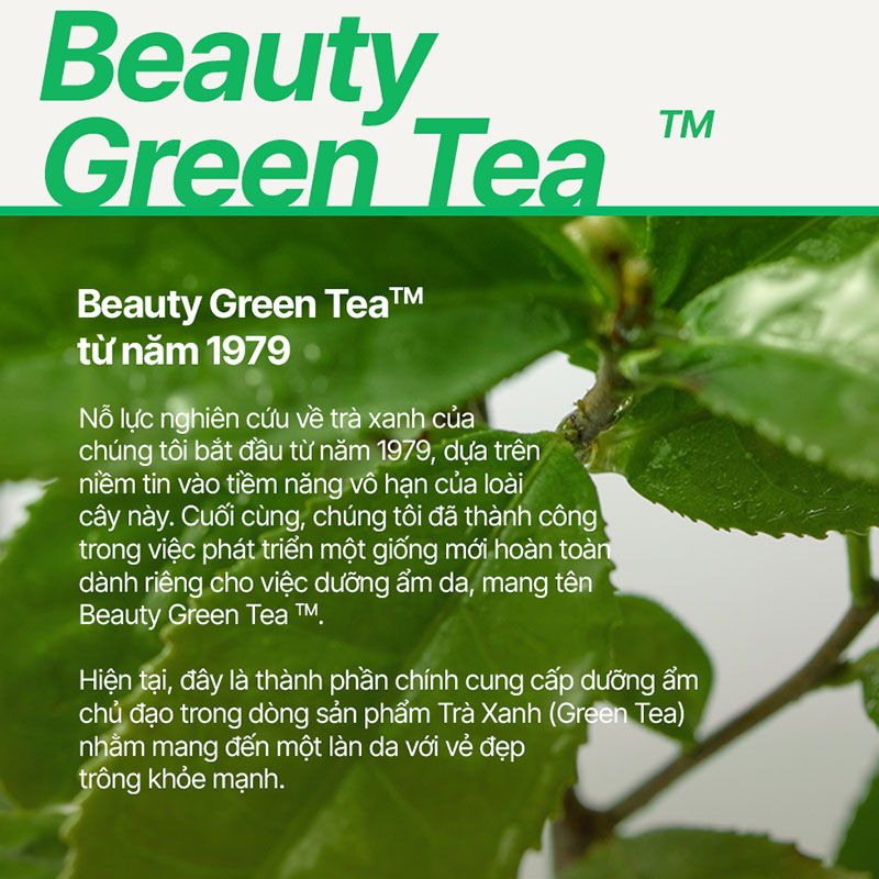 Nước Tẩy Trang Cho Da Dầu Mụn Innisfree Green Tea Amino Hydrating Cleansing Water 320ml