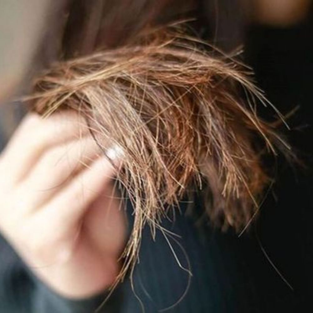 Tẩy tóc khiến tóc trở nên khô xơ, chẻ ngọn