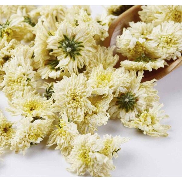 Hoa cúc trắng có công dụng cấp ẩm và dịu da
