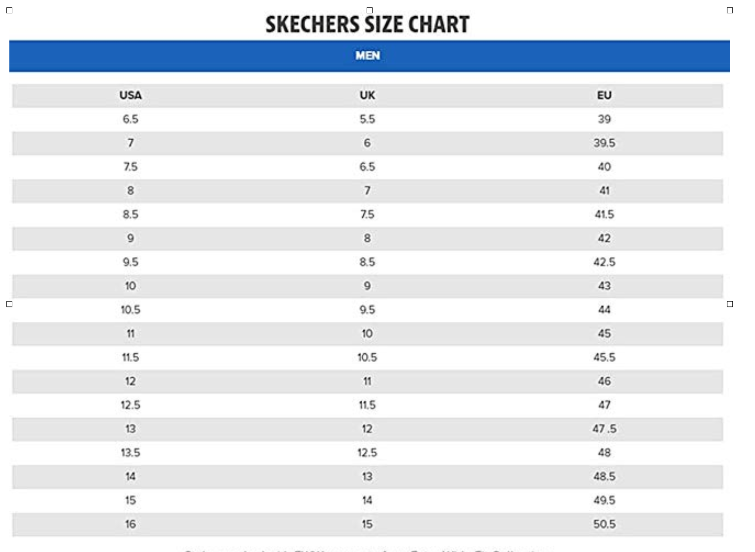 size 16 skechers