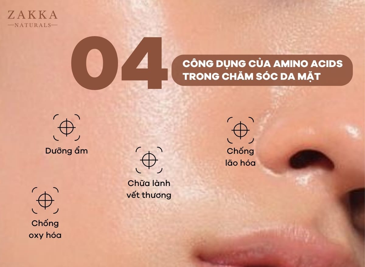 4 công dụng của Amino Acids trong chăm sóc da mặt