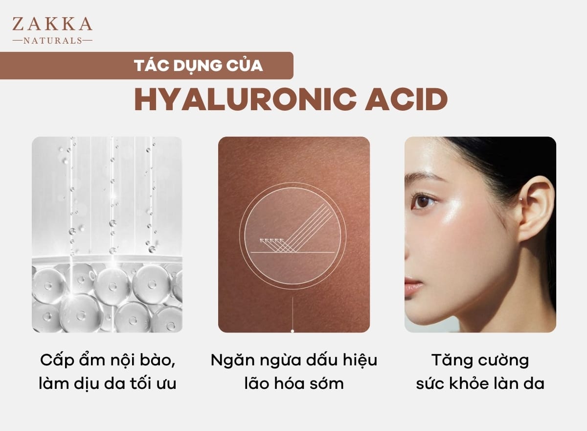 Tác dụng của Hyaluronic Acid với da
