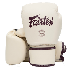 Fairtex Gloves