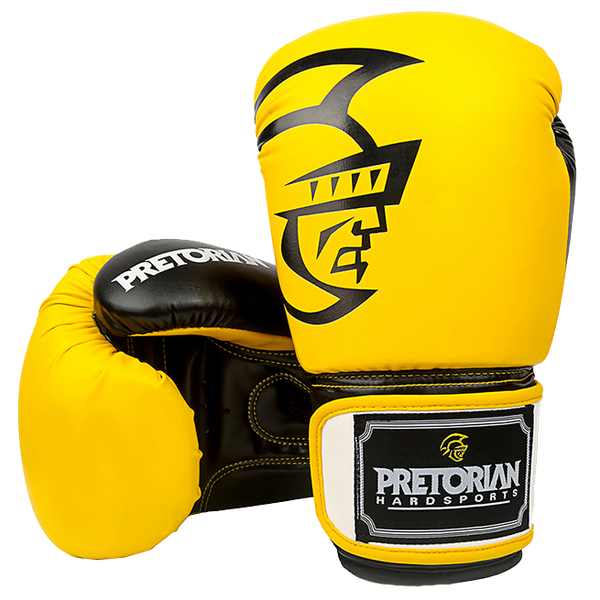 Pretorian best sale boxing gloves