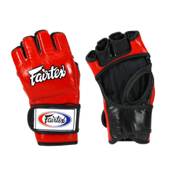Fairtex Gloves