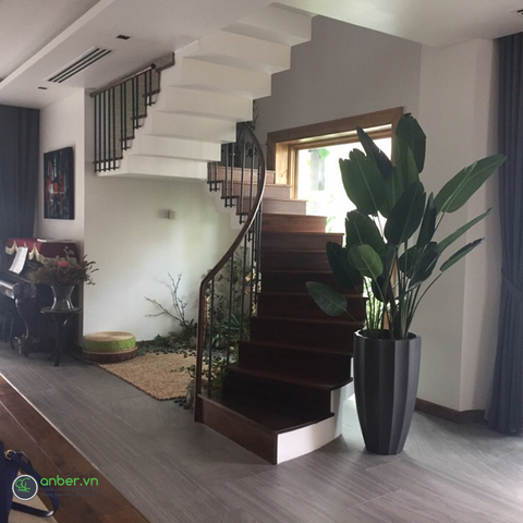 Khách hàng Chetau Phú Mỹ Hưng Quận 7 trang trí phòng khách với chậu composite anber 6668 và 5001