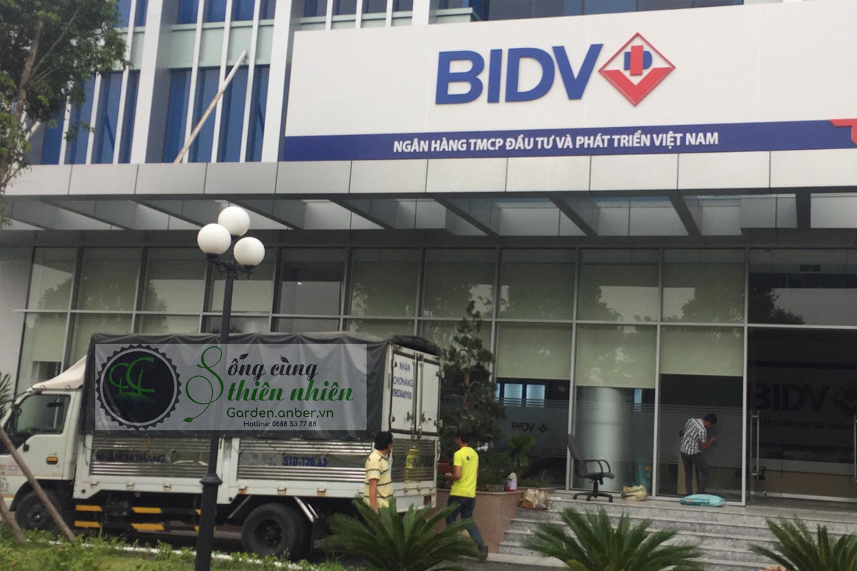 [BIDV] Anber giao chậu composite cho tòa nhà BIDV