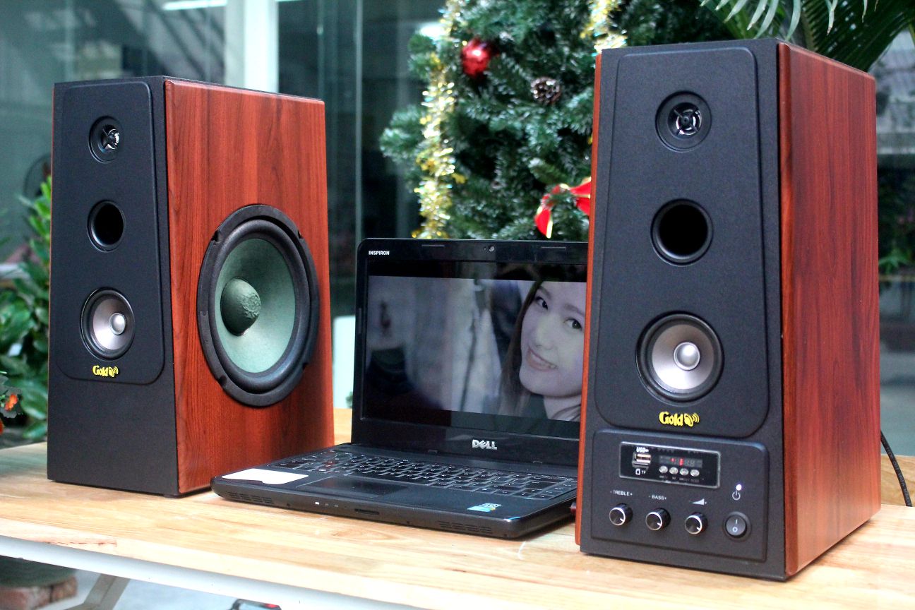 LOA GIA ĐÌNH CÓ BLUETOOTH, DÙNG ĐƯỢC VỚI MÁY TÍNH, ĐIỆN THOẠI, TIVI -W120 GOLDSOUND