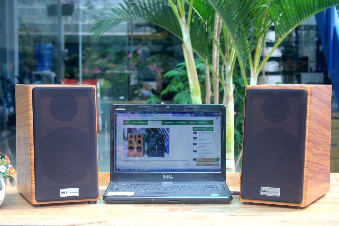 Loa có bluetooth tiện dụng trong gia đình goldsound GS51 bluetooth phiên bản 2018