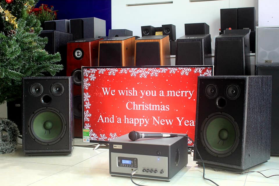 Loa chuyên hát karaoke gia đình GOLDSOUND W380