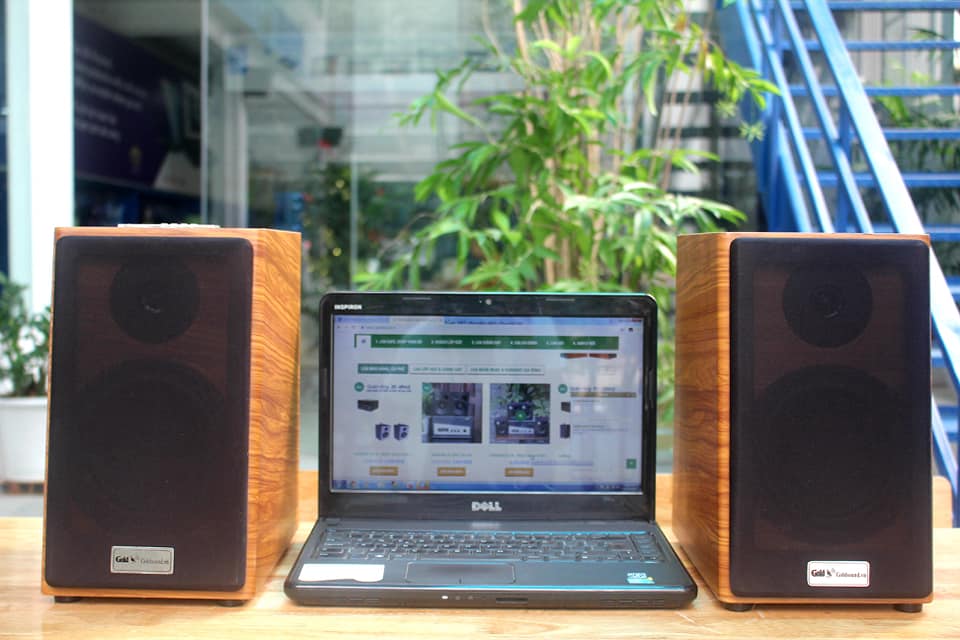 Loa hifi có bluetooth cho gia đình Goldsound GS51 bluetooth