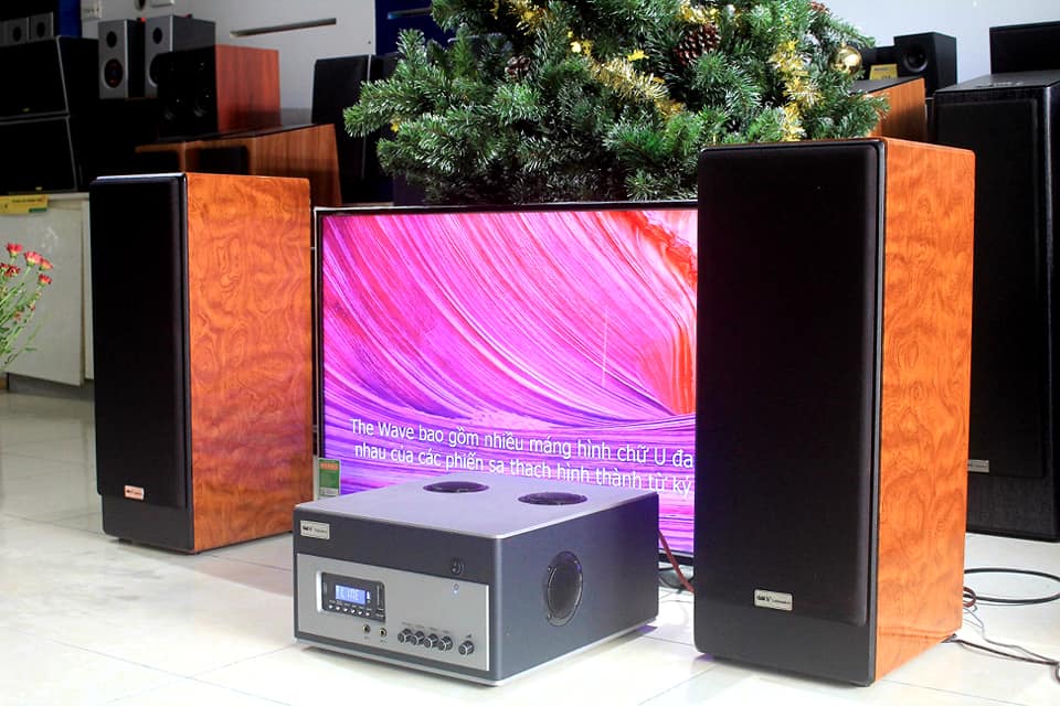 Dàn âm thanh hát karaoke tại nhà V385 (amly A800 + 02 loa cây V385)