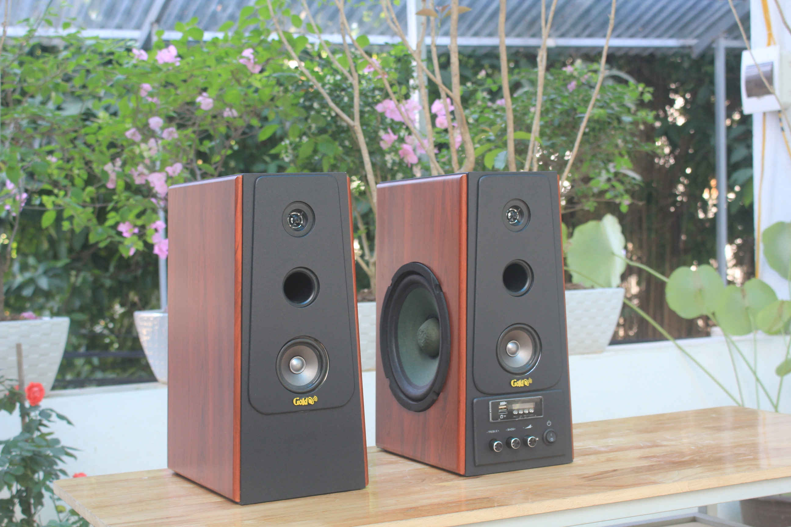 Loa hay cho gia đình - Loa goldsound w120 bluetooth