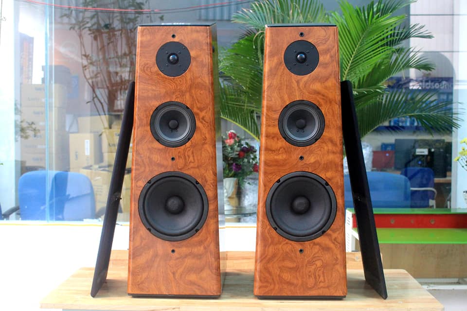 Dàn karaoke gia đình W360 (đã tích hợp amly)  màu vân gỗ sáng bóng, sang trọng,