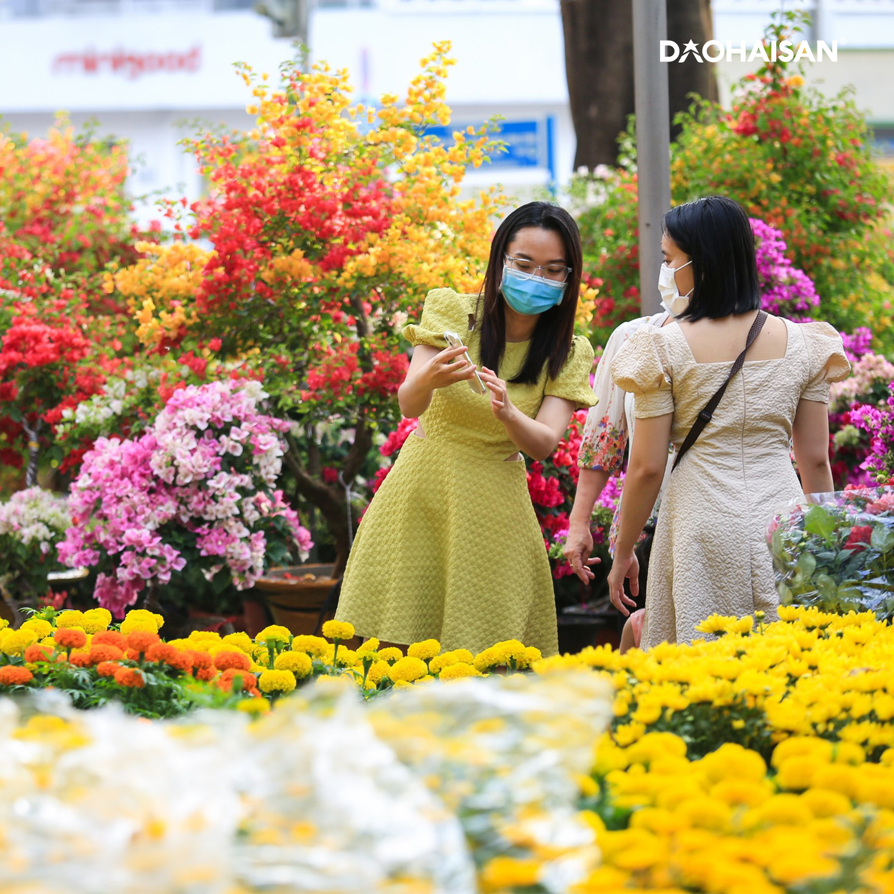 Tìm hiểu ngày tết nguyên đán 2024 vào ngày nào dương lịch để chuẩn bị