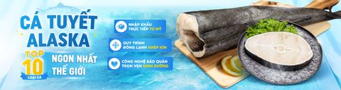 Nhóm Cá Tuyết Thượng Hạng