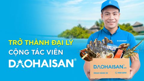 NHÓM SẢN PHẨM CTV/ĐẠI LÝ