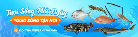 200 Hải Sản Tươi Sống
