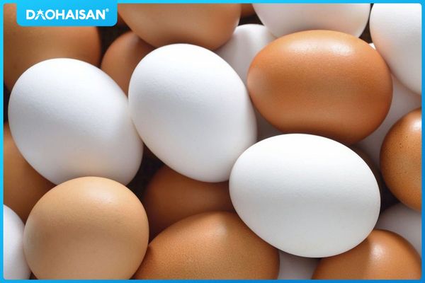 Trứng là sản phẩm được ưa chuộng nhiều nhất vì thành phần dinh dưỡng mà nómang lại