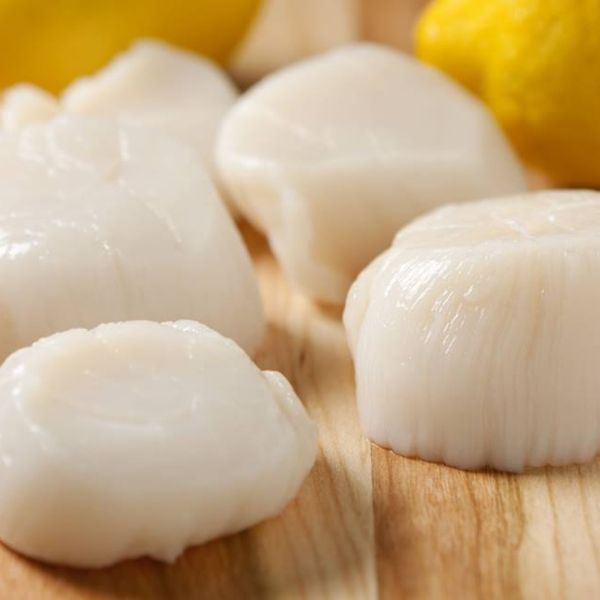 Cách bảo quản sò điệp Nhật ăn dần tại nhà mà không lo về chất lượng