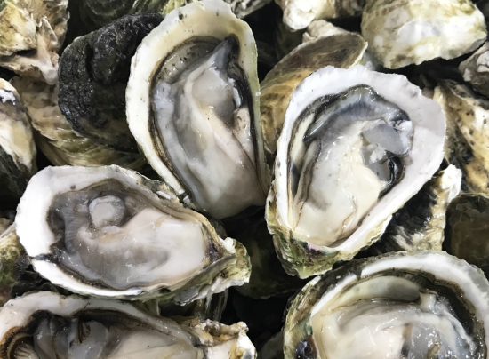 Ruột hàu sữa Pháp