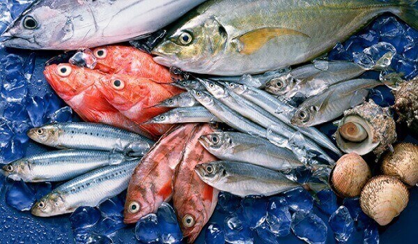 Ăn cá bổ sung chất sắt giúp ngăn ngừa tình trạng thiếu máu trong thai kỳ