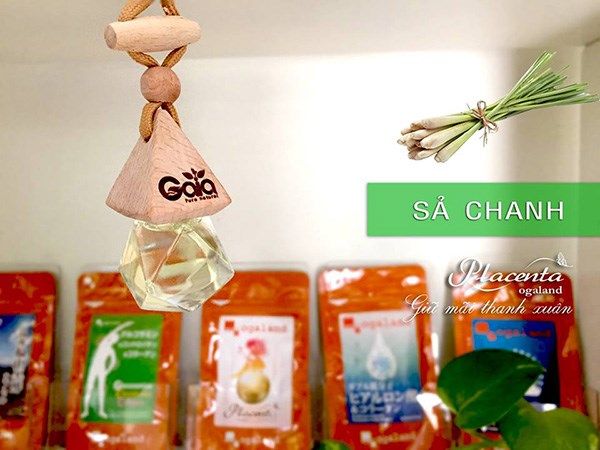 tinh chat gaia sa chanh