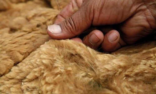 Có gì lạ ở đôi tất nam siêu xịn cho giới thượng lưu?