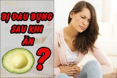 BỊ ĐAU BỤNG SAU KHI ĂN BƠ , TẠI SAO ?