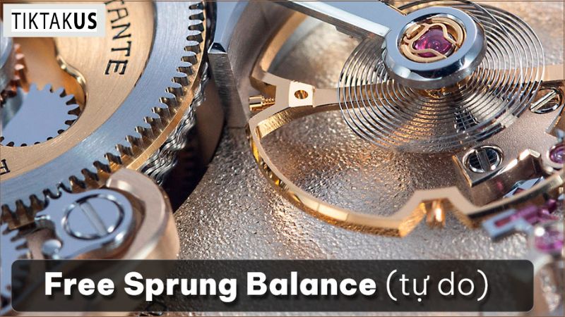 Free Sprung Balance (Tự do)