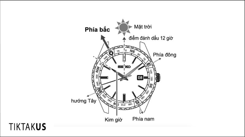 Bezel La Bàn (Compass Bezel): Kim Chỉ Nam Trên Cổ Tay