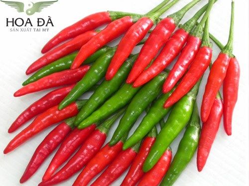 thực phẩm gây hại cho dạ dày