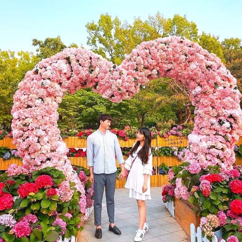 TỔNG HỢP NHỮNG HÌNH ẢNH ẤN TƯỢNG LỄ KHAI MẠC FESTIVAL HOA ĐÀ LẠT 2019