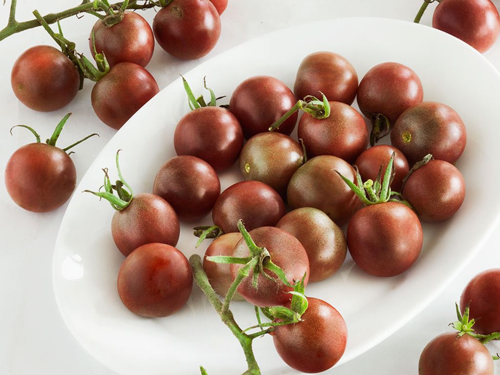 Tất tần tật những điều cần biết về Cà Chua Bi Socola