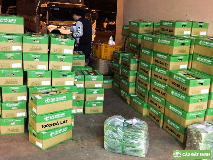 Thu hoạch - Sơ chế - Vận chuyển - Quy trình gói gọn chỉ trong 16 tiếng