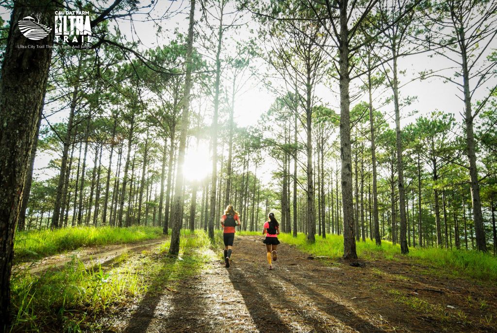 CAUDATFARM ULTRA TRAIL 2020 - CHẠY GIỮA MAI ĐÀO
