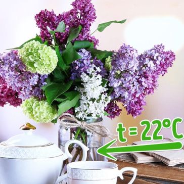 10 mẹo giúp bình hoa của bạn tươi lâu đến không ngờ