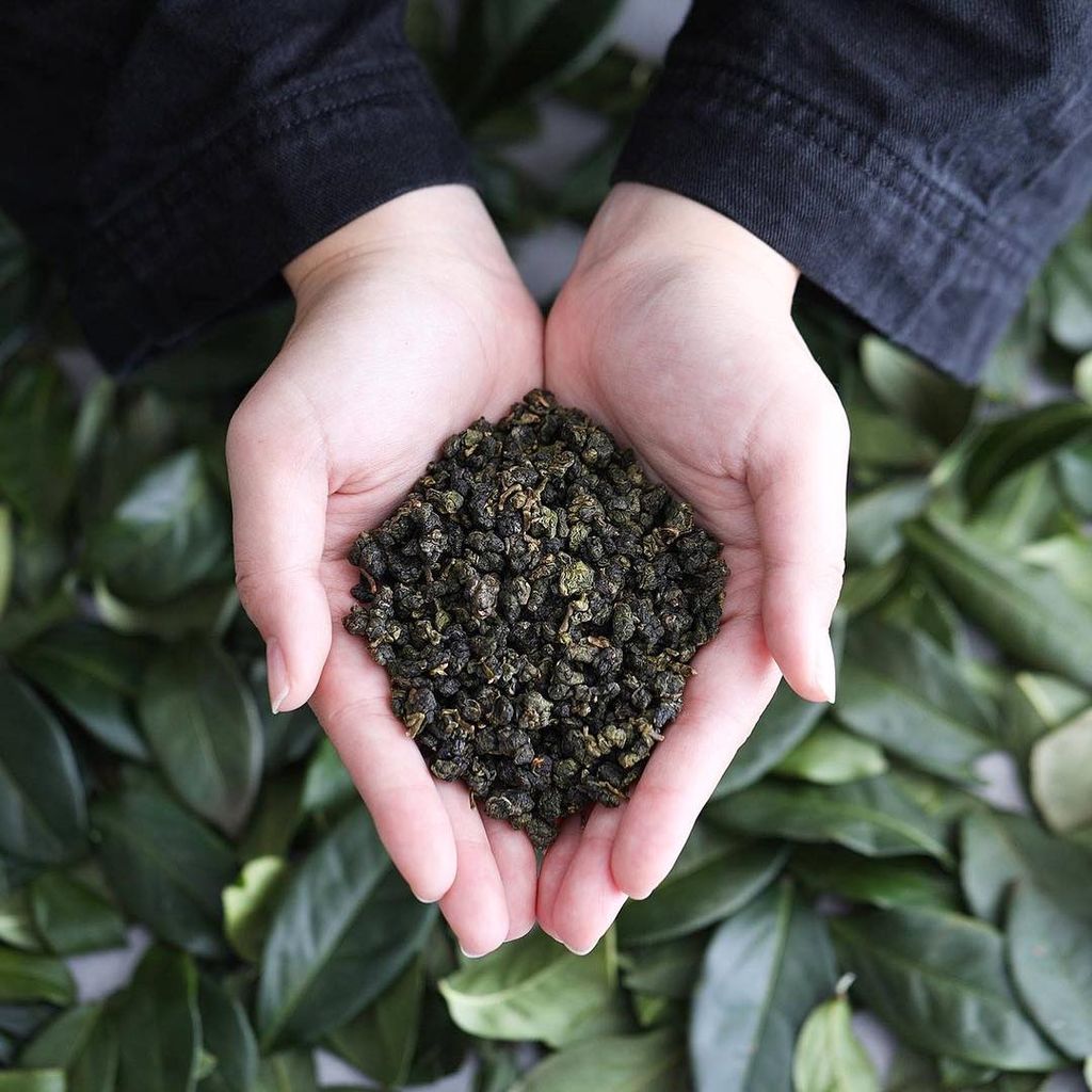 TRÀ OOLONG VÀ NHỮNG ĐIỀU BẠN CHƯA BIẾT?