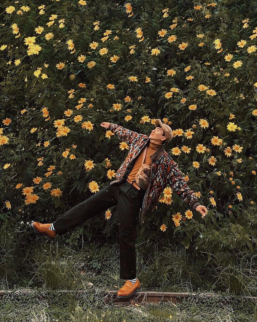 HOA DÃ QUỲ - WILD SUNFLOWERS