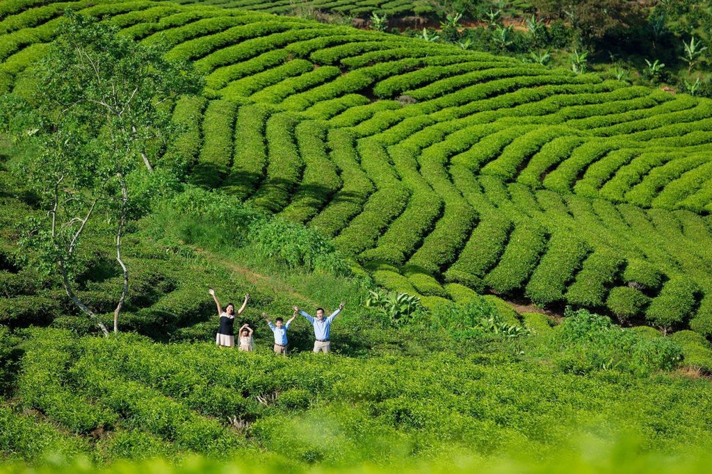 CÁC TOUR TRẢI NGHIỆM TẠI CẦU ĐẤT FARM