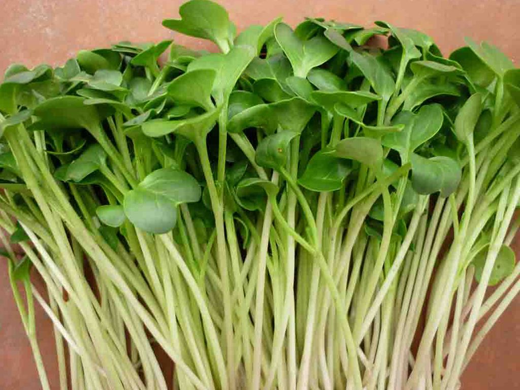 Sự