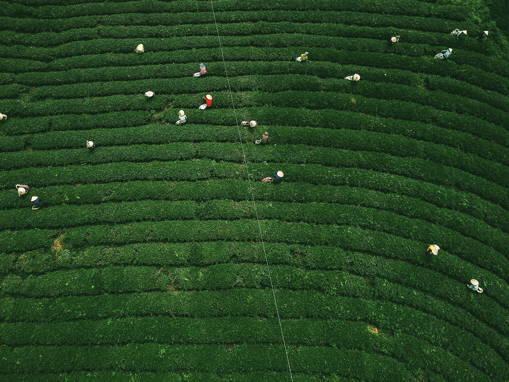 HƯỚNG DẪN DI CHUYỂN ĐẾN CẦU ĐẤT FARM