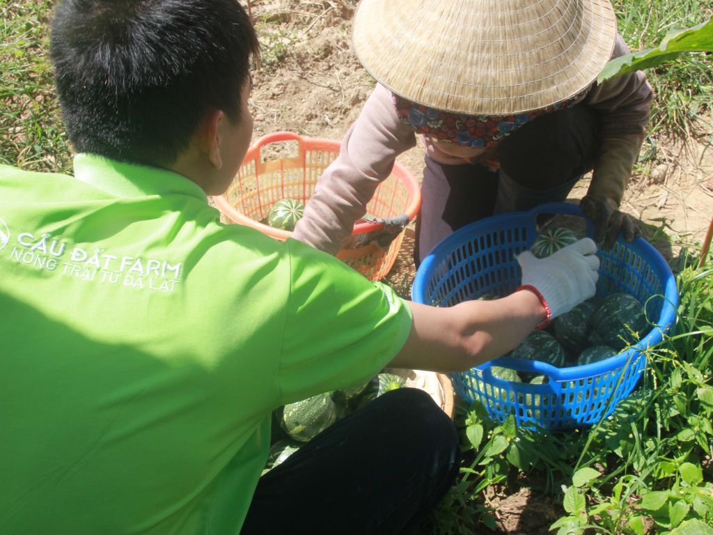 Cầu Đất Farm đồng hành cùng nông hộ liên kết