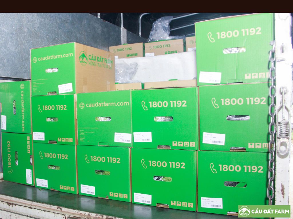 Đóng thùng rau củ - Cách bảo quản nông sản thông minh