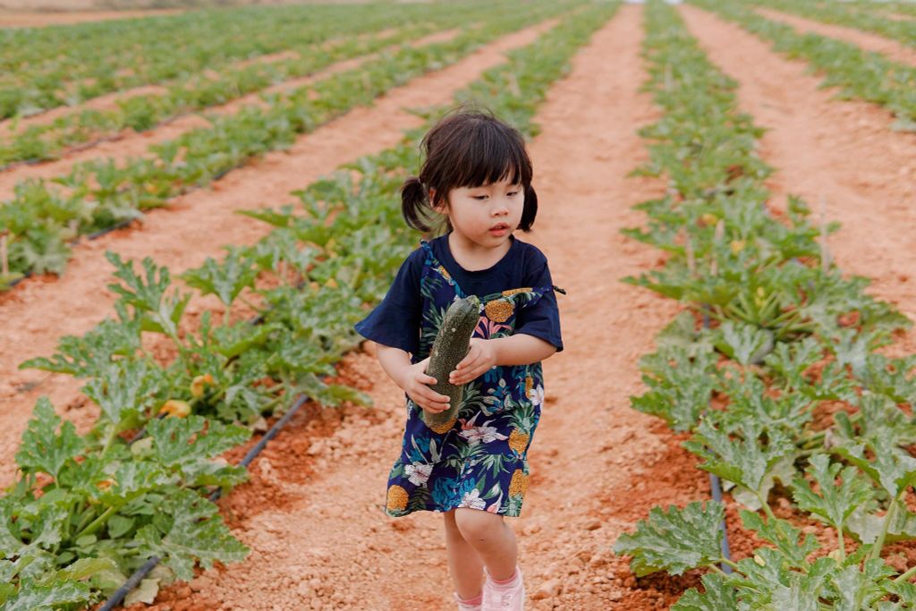 Du lịch trải nghiệm “Một ngày làm nông dân” tại Cầu Đất Farm