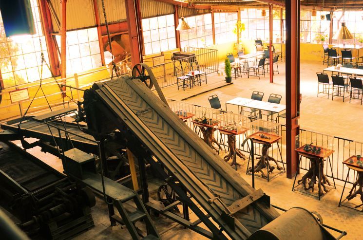Nhà máy Trà cổ Cầu Đất Farm - Nhân chứng 100 năm tuổi