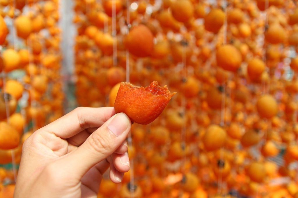 HỌC CÁCH PHƠI HỒNG TREO GIÓ ĐẸP MẮT AN TOÀN LẠI NGON NGỌT KHIẾN CHỊ EM ĐUA NHAU LÀM THỬ