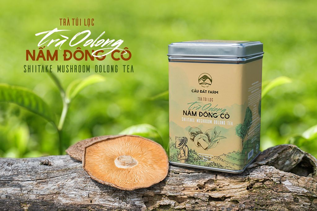 TRÀ OOLONG NẤM ĐÔNG CÔ – MÓN QUÀ TUYỆT VỜI CHO SỨC KHỎE