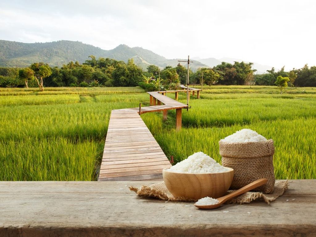 Bất ngờ 5 công dụng thần kỳ của gạo ít người biết